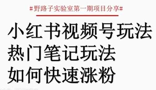 小红书视频号项目，直接上手操作，月入过万_中创网