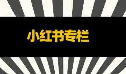 图片[1]_品牌医生《小红书全链营销干货》5个起盘案例，营销策略规划，避坑指南_中创网