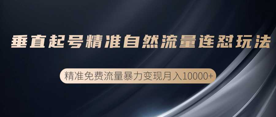 垂直起号精准自然流量连爆玩法，精准引流暴力变现月入10000+_中创网