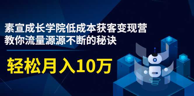 素宣成长学院低成本获客变现营，教你流量源源不断的秘诀，轻松月入10万_中创网