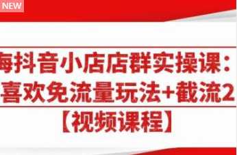 图片[1]_大海抖音小店店群实操课：猜你喜欢免流量玩法+截流 2.0_中创网