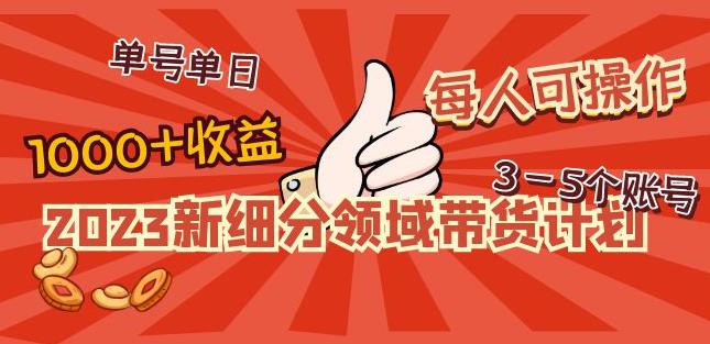 图片[1]_2023新细分领域带货计划：单号单日1000+收益不难，每人可操作3-5个账号_中创网