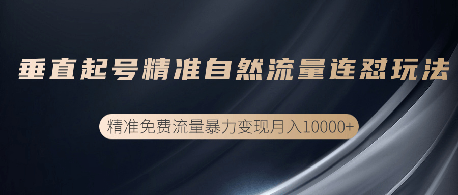 图片[1]_垂直起号精准自然流量连爆玩法，精准引流暴力变现月入10000+_中创网