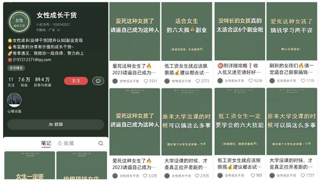 图片[2]_（5852期）小红书各行业引流玩法，从养号到制作到引流等，一条龙分享给你_中创网