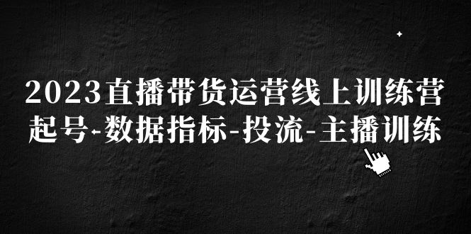 （5122期）2023直播带货运营线上训练营，起号-数据指标-投流-主播训练_中创网