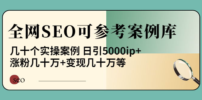 （3834期）《全网SEO可参考案例库》几十个实操案例 日引5000ip+涨粉百W+变现几十W等!_中创网