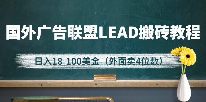 （2616期）外面卖4位数的国外广告联盟LEAD搬砖教程，日入18-100美金（教程+软件）_中创网