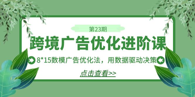 （7131期）跨境广告·优化进阶课·第23期，8*15数模广告优化法，用数据驱动决策_中创网