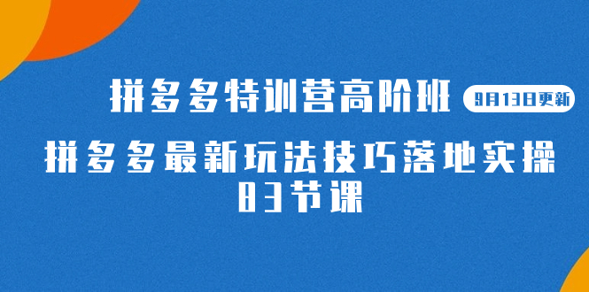 （7295期）2023拼多多·特训营高阶班【9月13日更新】拼多多最新玩法技巧落地实操-83节_中创网