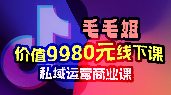 （5962期）（价值9980线下课）毛毛姐私域运营，掌握私域运营新方法_中创网
