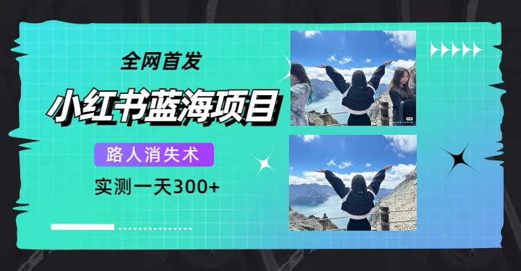 （7552期）全网首发，小红书蓝海项目，路人消失术，实测一天300+（教程+工具）_中创网