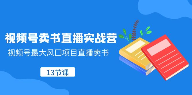 （8109期）视频号卖书直播实战营，视频号最大风囗项目直播卖书（13节课_中创网