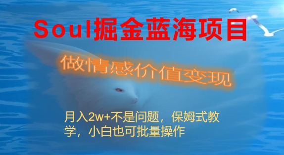 （8559期）Soul掘金蓝海项目细分赛道，做情感价值变现，月入2w+不是问题_中创网