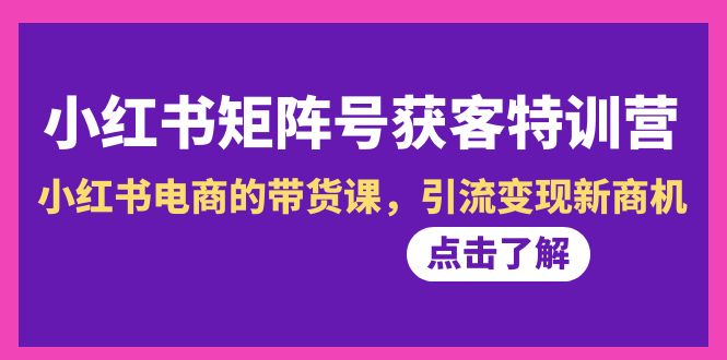 （8941期）小红书矩阵号获客特训营-第10期，小红书电商的带货课，引流变现新商机_中创网