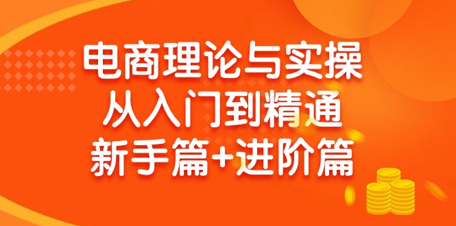 （9648期）电商理论与实操从入门到精通 新手篇+进阶篇_中创网