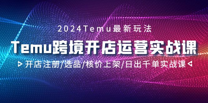 （9263期）2024Temu跨境开店运营实战课，开店注册/选品/核价上架/日出千单实战课_中创网