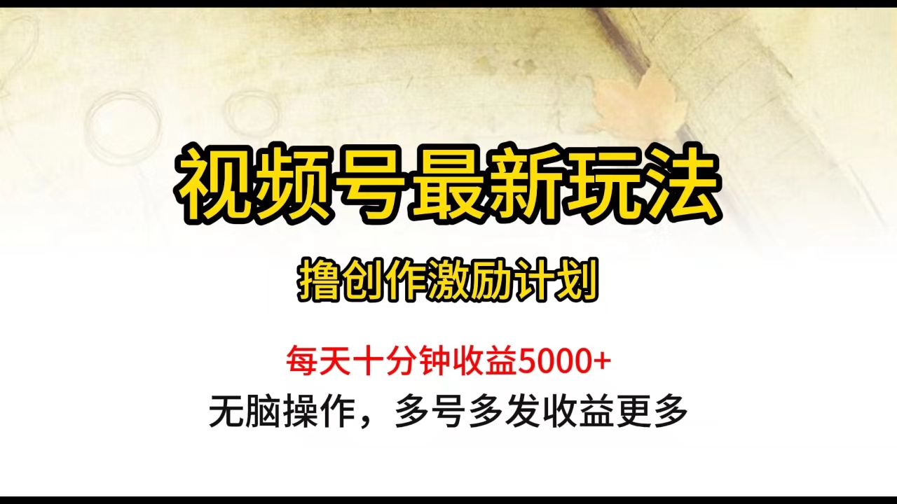 （10173期）视频号最新玩法，每日一小时月入5000+_中创网