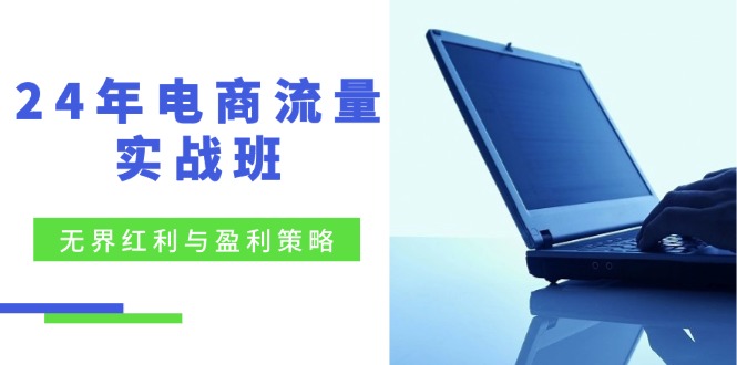 （12168期）24年电商流量实战班：无界 红利与盈利策略，终极提升/关键词优化/精准人群拓展/创新玩法_中创网