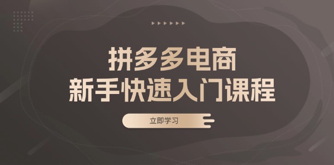 （13289期）拼多多电商新手快速入门课程：涵盖基础、实战与选款，助力小白轻松上手_中创网