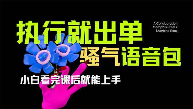（14170期）爆火全网的开车导航骚气语音包,只要执行就出单，小白看完课程就能实操上手_中创网